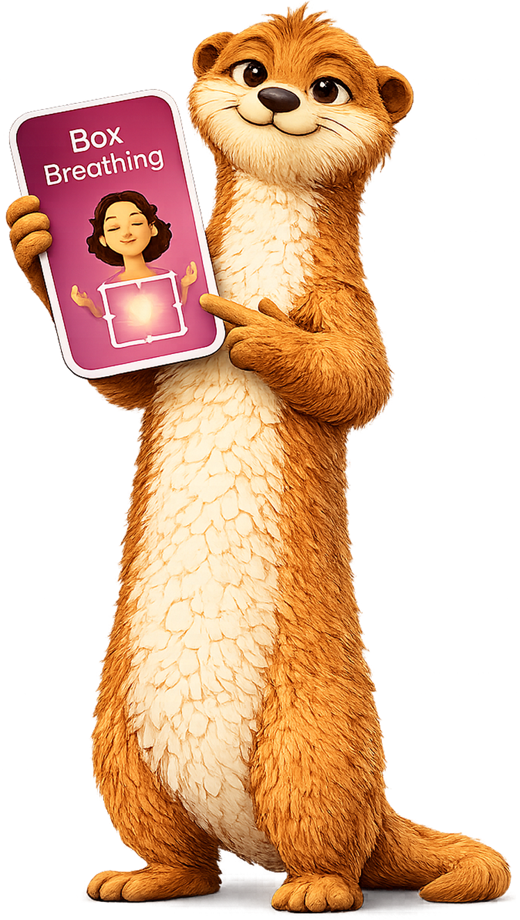 A meerkat holding a phone showing a Box Breathing calm card